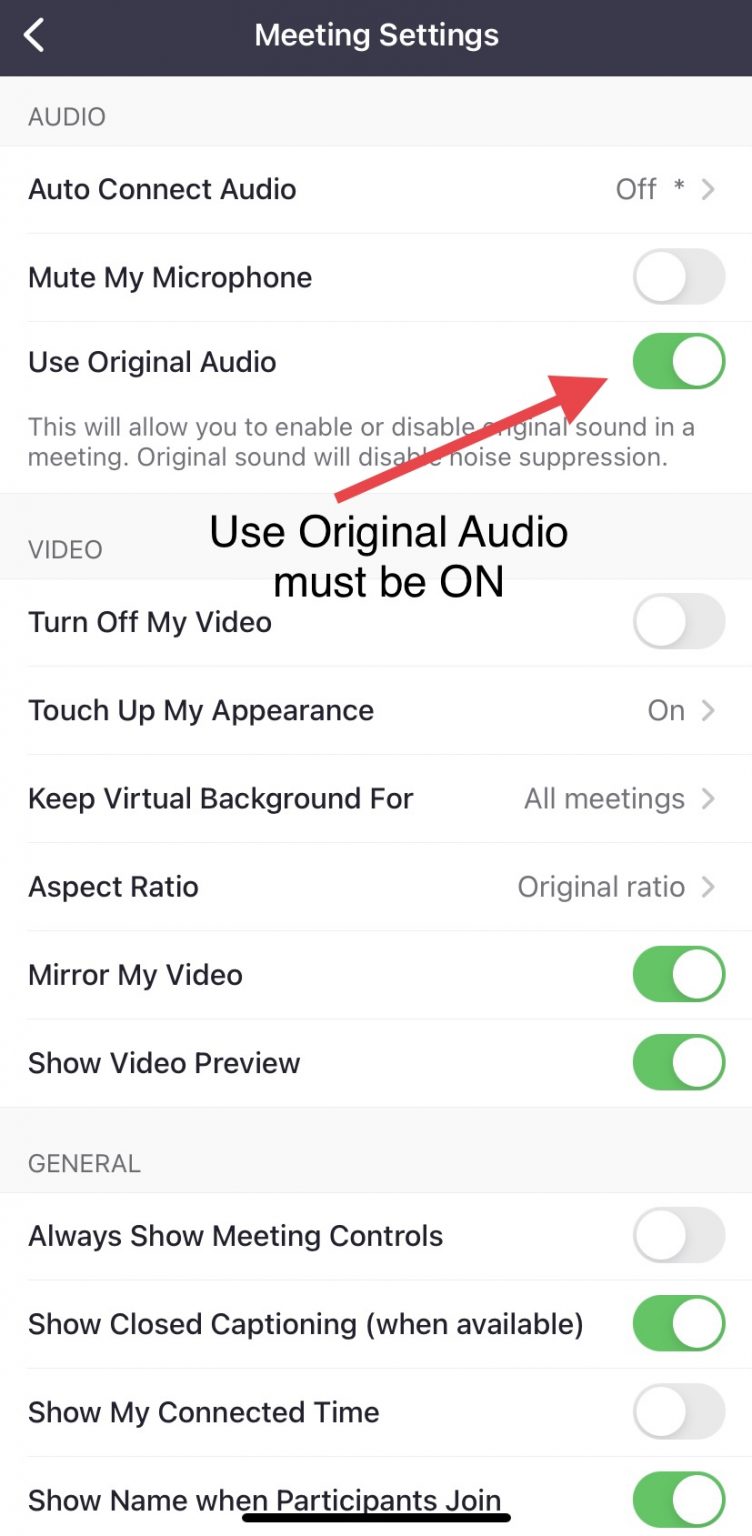 ZOOM Audio Settings for iPad or iPhone My School Band